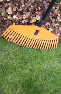 Fort Collins Power Raking Service